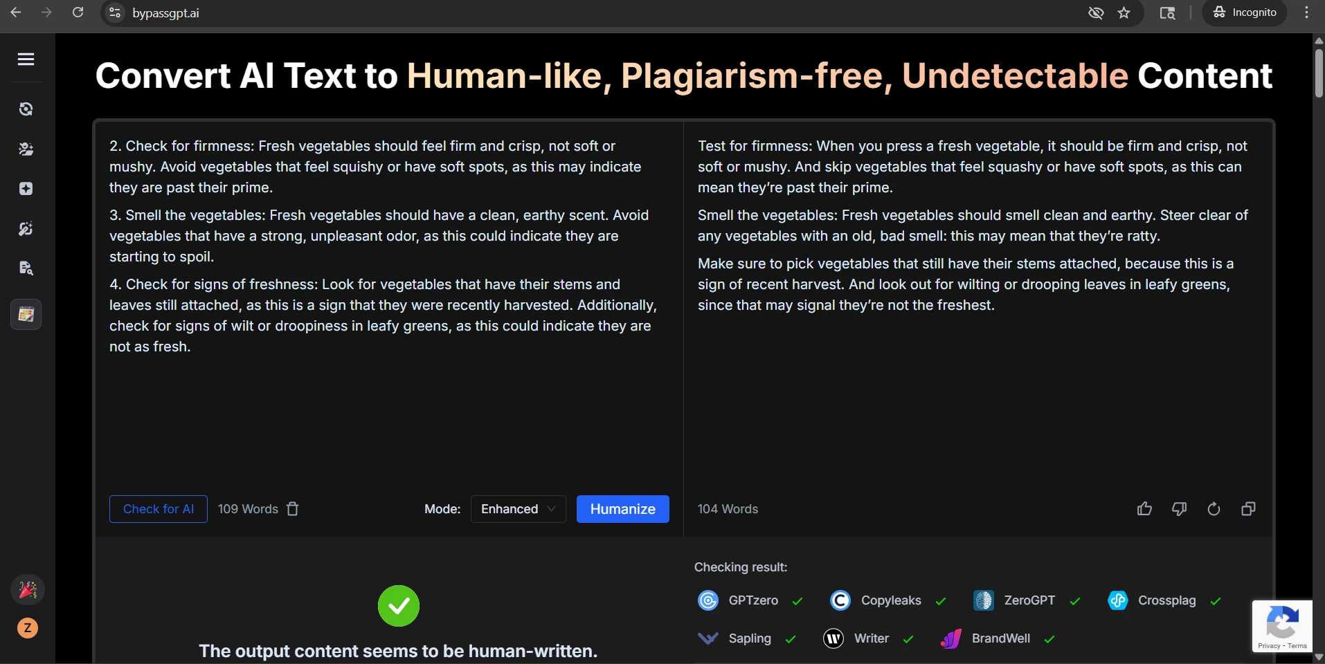 BypassGPT rewrite example showing structure changes