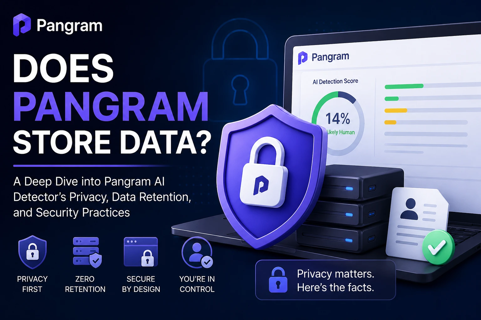 Does Pangram Store Data?