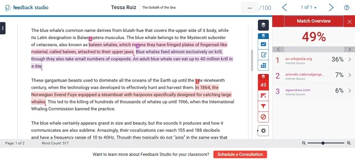 How Much Plagiarism Is Acceptable In Turnitin?